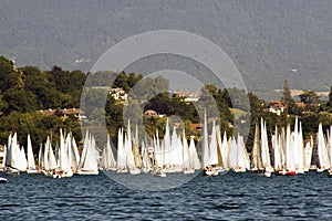 Wall of white sails