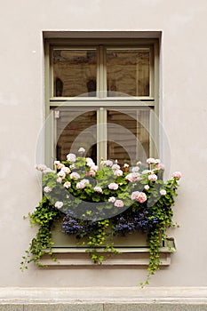 Wall with window