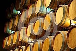 A Wall of Wine Barrels