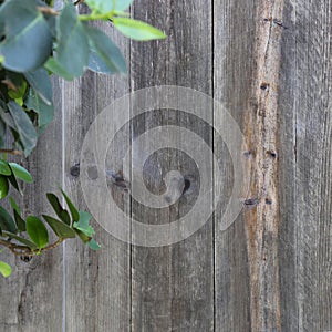 Wall wood board texture