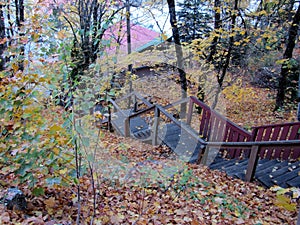 Wallace public stairs run up and down the south hill during autumn season