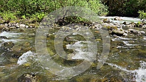 Wallace River nicely flowing in Washington state during spring time