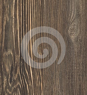 Wallboard Grey Wood Panel Texture photo