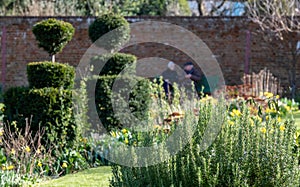 Walled garden at historic Eastcote House in the Borough of Hillingdon, London, UK. At back elederly couple sit on a bench.