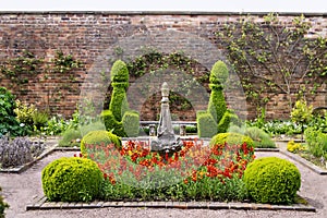 Walled garden with topiary and red flowers.