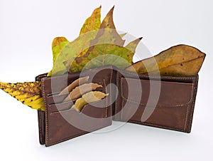 Wallet in the Autumn