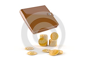 Wallet with coins