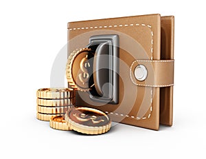 Wallet and coins