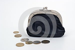 Wallet with Coins2