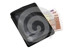 Wallet with money