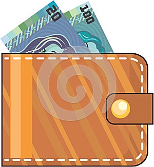 Wallet with money Brown leather vector