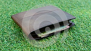 Wallets on grass, dolly shot