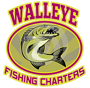 Walleye fish fishing charters photo