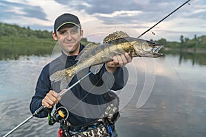 Walleye fishing. Happy fisherman with zander fish at river