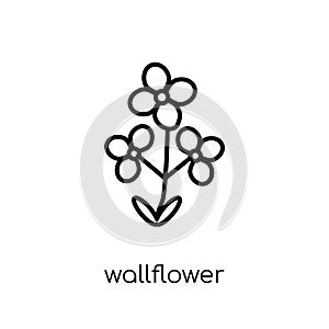 Wallflower icon. Trendy modern flat linear vector Wallflower icon on white background from thin line nature collection