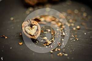 WALLNUT ON THE FLOOR