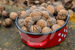 Wallnuts in a red metal bowl