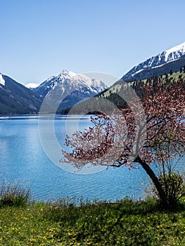 Wallowa Lake with snow covered Sentinel Peak photo