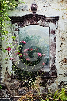 Wallpainting as a decoration in the garden photo