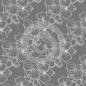 Wallpaper botanical vector illustration with hand drawn flowers. Fantasy florals seamless pattern