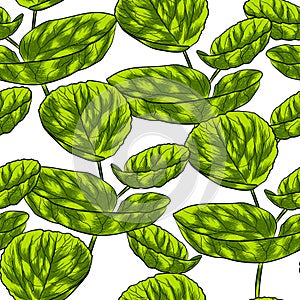 Wallpaper graphic design with exotic leaves