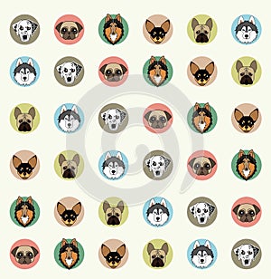 Wallpaper with pets of different breeds