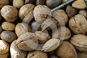 Mixed nuts in shell with nutcracker.