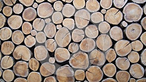 Wallpaper of wood logs photo