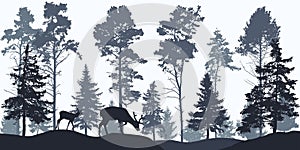 Wallpaper woodland, silhouette of coniferous forest and animals. Beautiful fir trees and pines. Vector illustration