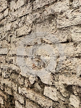 walls as old-fashioned wallpaper