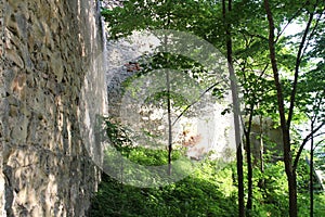 Walls of Buchlov castle