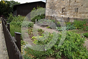 The walls of the old buildings of the sandstone barracks.