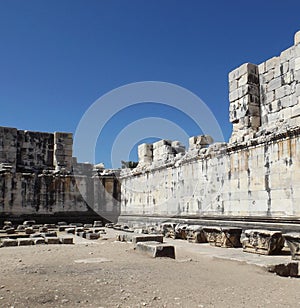 Walls Temple of Apollo Didim