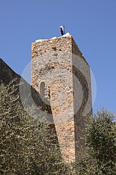 The walls and a tower of the Monteriggioni fortress. photo