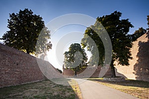 Walls and trees in Kalemegdan fortress in Belgrade