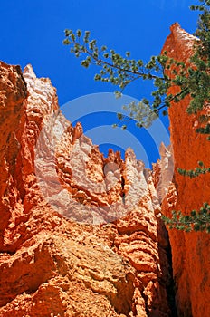 The `walls` of Wall Street , Bryce Canyon National Park