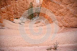 Wallstreet in Bryce Canyon National photo