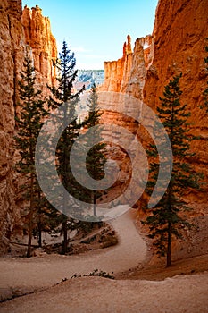 Wallstreet in Bryce Canyon National photo