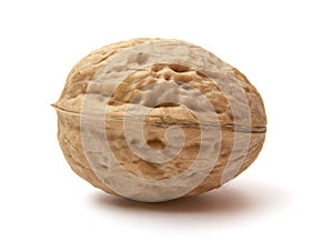Walnut 1