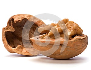 Walnut