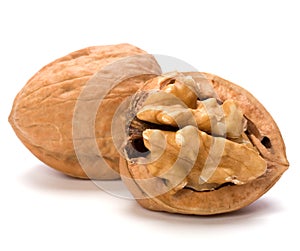 Walnut