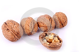 Walnut