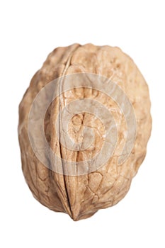 Walnut in nutshell isolated on white background