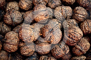 Walnut