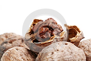 Walnut