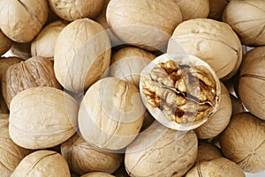 Walnut