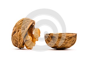 Walnut