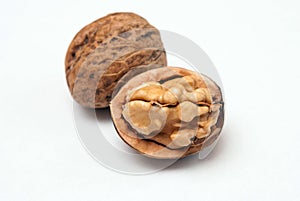 Walnut