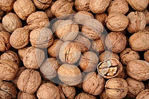 Walnut background photo