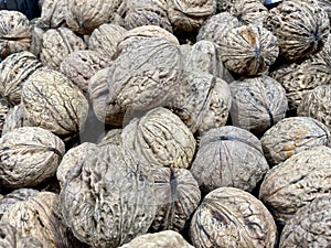 Walnut background texture